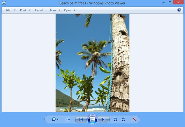 Best Photo Viewer for Windows 10 (2020) 1 best photo viewer for windows 10 windows photo viewer